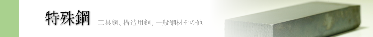 イーメタルズ 特集鋼特集